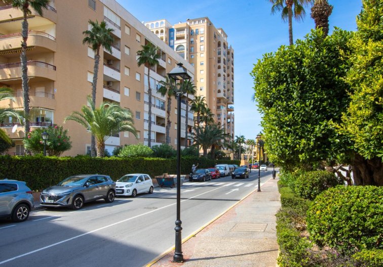 Revente - Appartement - Torrevieja - Los Frutales