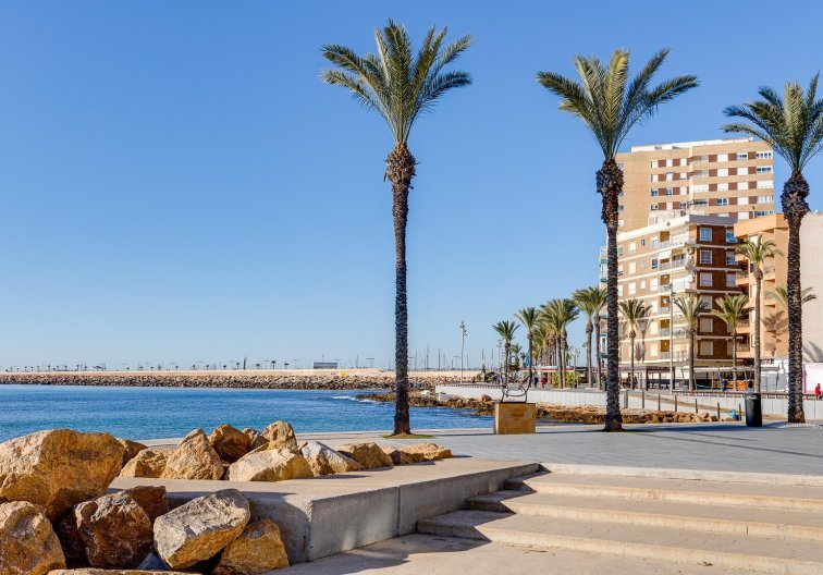 Segunda mano - Apartamento  - Torrevieja - Antonio Machado