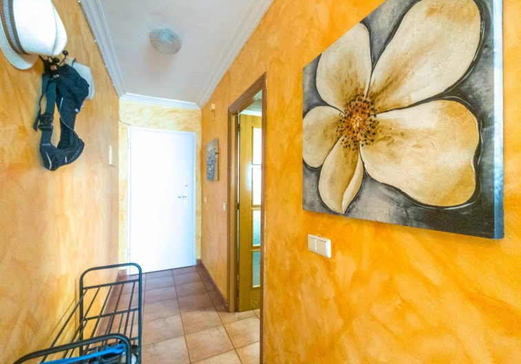 Segunda mano - Apartamento  - Torrevieja - Acequion