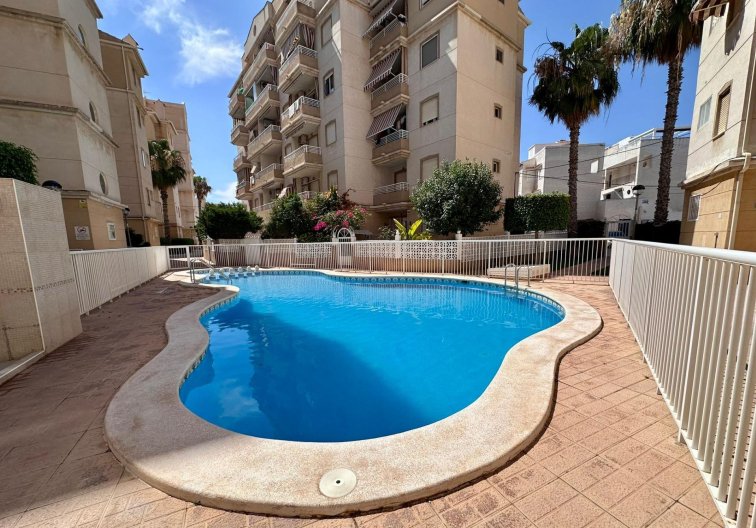 Segunda mano - Apartamento  - Torrevieja - Habaneras