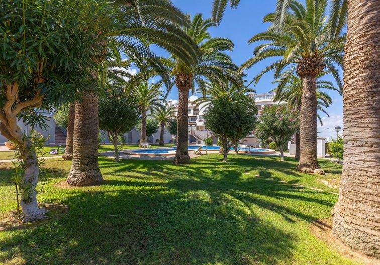Revente - Appartement - La Mata - Costa Blanca