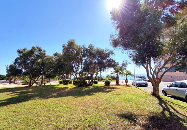 Herverkoop - Appartement - Torrevieja - Costa Blanca