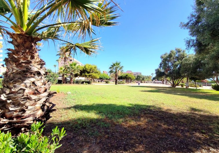 Wiederverkauf - Wohnung - La Mata - Costa Blanca