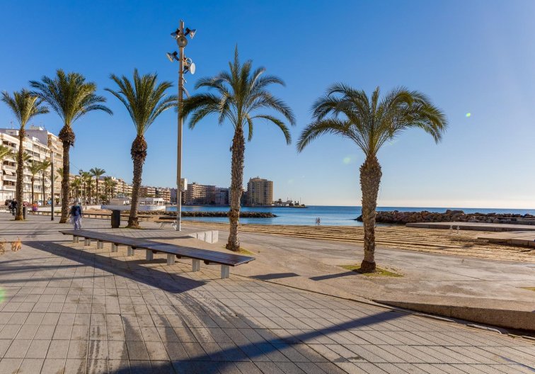 Revente - Penthouse - Torrevieja - Paseo Maritimo