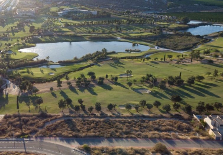 Construction Neuve - villa - Algorfa - La Finca Golf