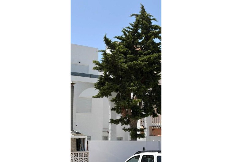 Segunda mano - town house - Torrevieja - Calas Blanca
