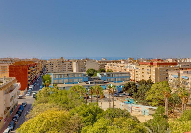 Segunda mano - Apartamento  - Torrevieja - Centro