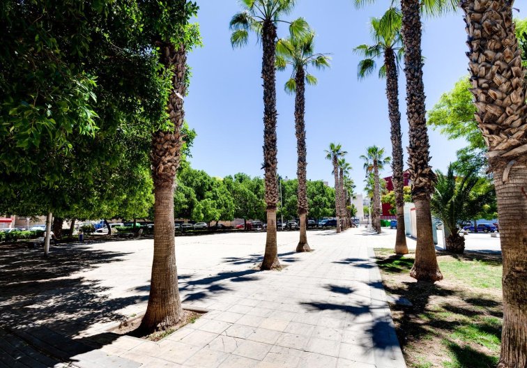 Segunda mano - Apartamento  - Torrevieja - Centro