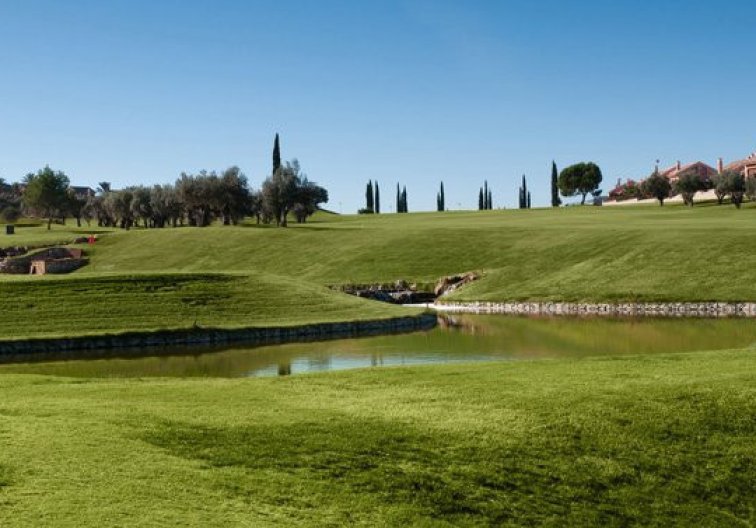 Segunda mano - town house - La Finca Golf Resort - Inland