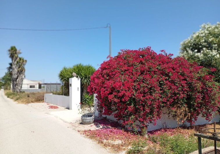 Resale - Country House - Daya Nueva - Costa Blanca