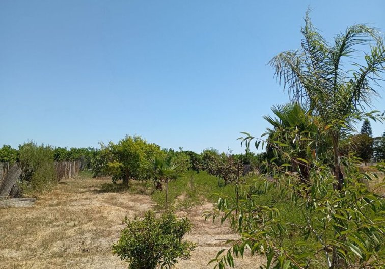 Resale - Country House - Daya Nueva - Costa Blanca
