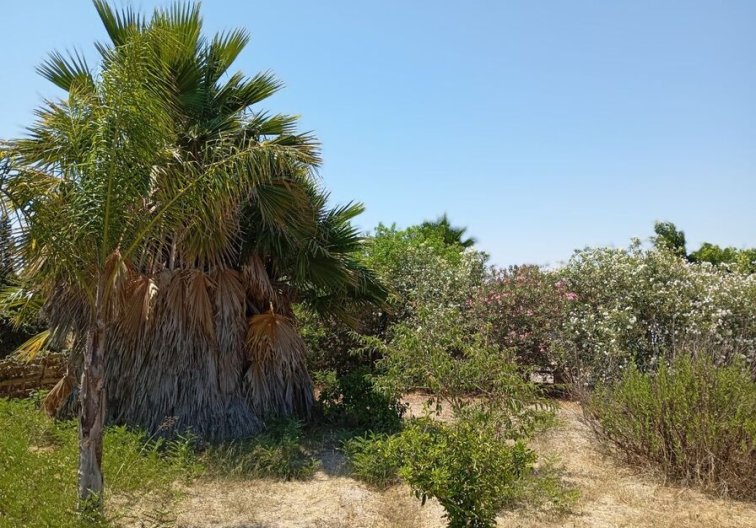 Resale - Country House - Daya Nueva - Costa Blanca