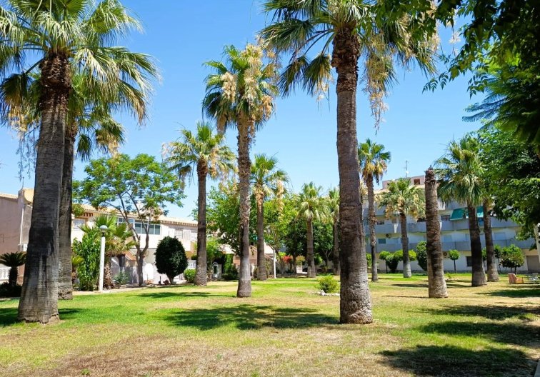 Wiederverkauf - Bungalow - Orihuela Costa - Costa Blanca