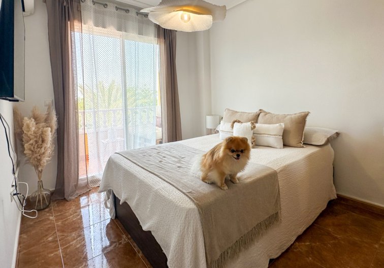 Segunda mano - Apartamento  - Guardamar del Segura - Costa Blanca