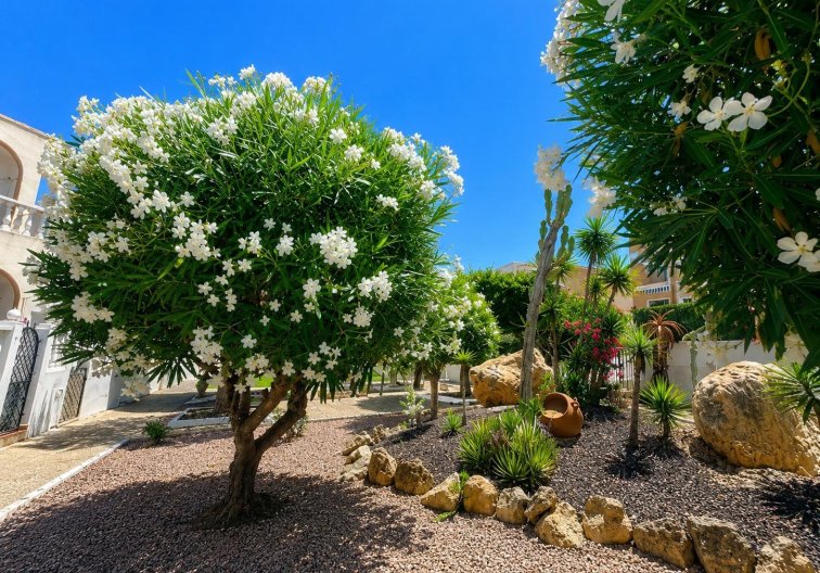 Herverkoop - Bungalow - Torrevieja - La Mata
