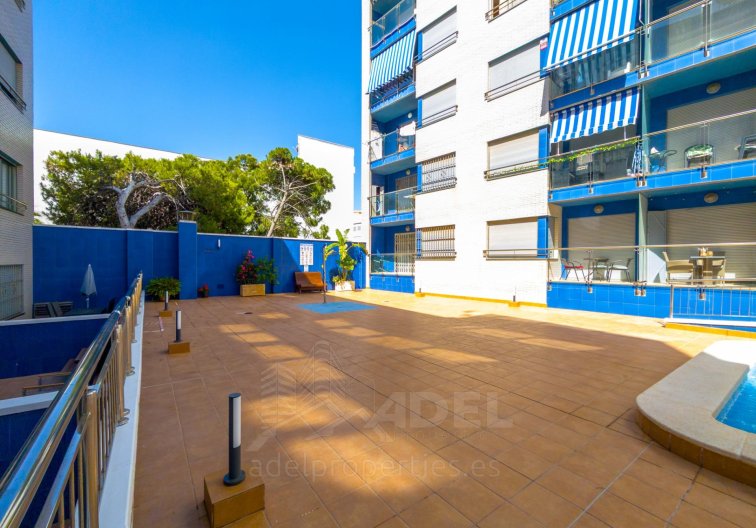 Segunda mano - Apartamento  - Torrevieja - Playa de los Locos