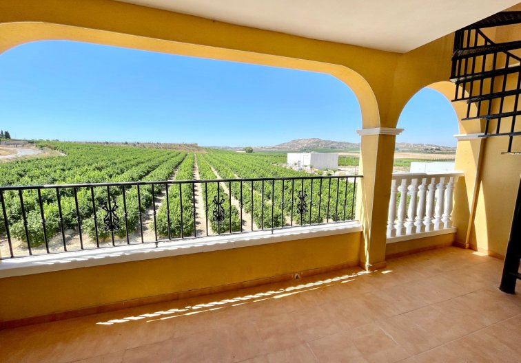Herverkoop - Penthouse - Algorfa - Inland