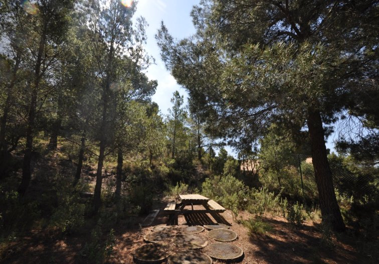 Revente - villa - Castalla - Inland