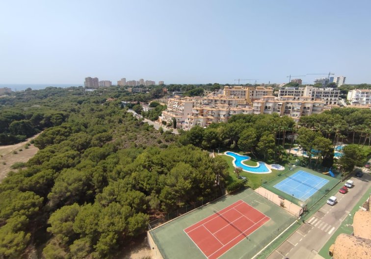 Segunda mano - Apartamento  - Orihuela Costa - Altos De Campoamor