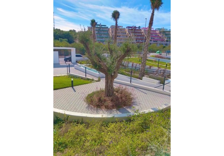 Segunda mano - Apartamento  - Orihuela - Inland