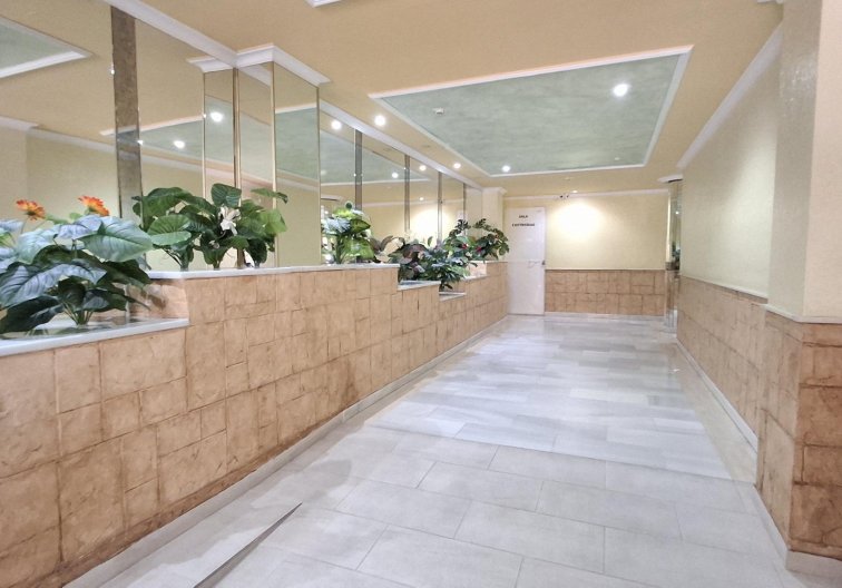 Revente - Appartement - Torrevieja - Estacion De Autobuses