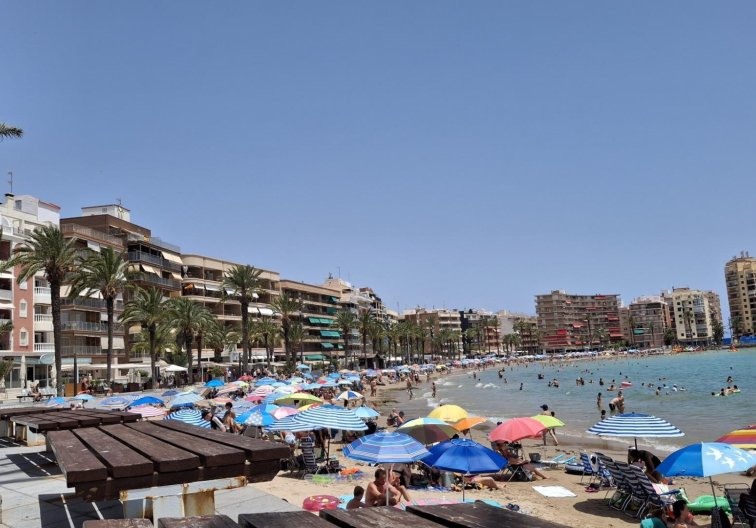 Revente - Appartement - Torrevieja - Estacion De Autobuses