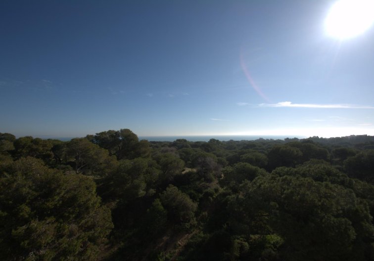 Obra Nueva - Atico - Guardamar del Segura - Pueblo