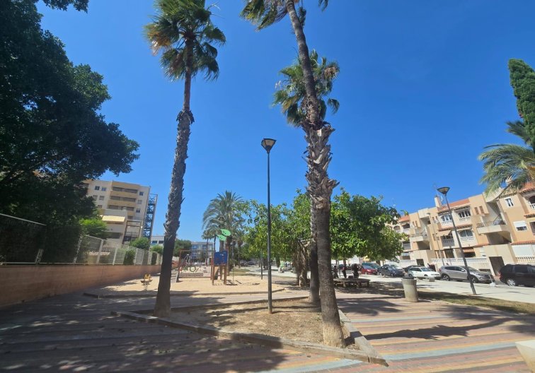 Segunda mano - Apartamento  - Torrevieja - Habaneras