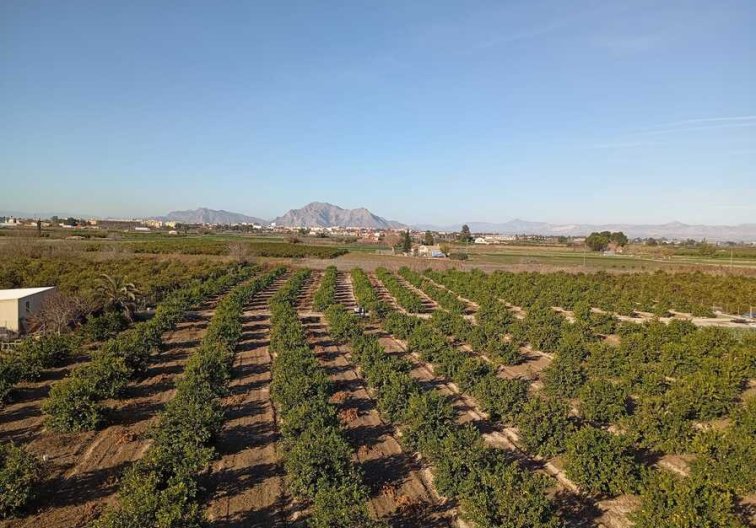 Segunda mano - Apartamento  - Daya Nueva - Costa Blanca