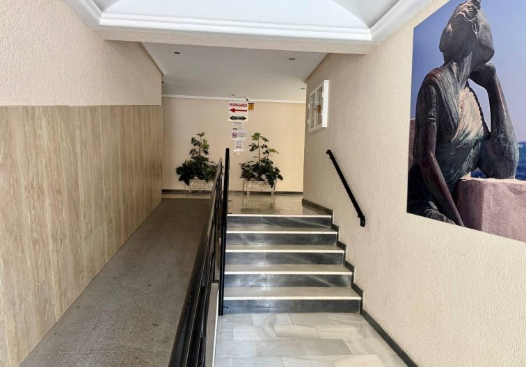 Segunda mano - Apartamento  - Torrevieja - Acequion