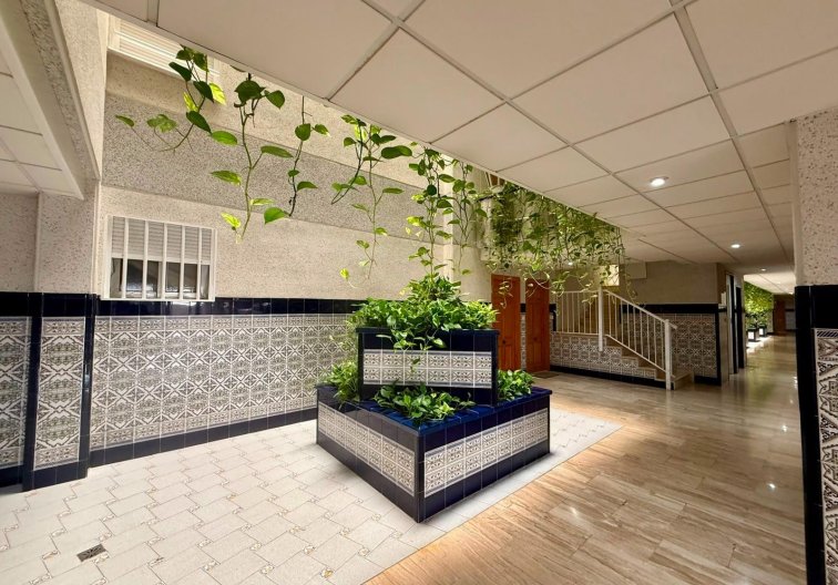 Segunda mano - Apartamento  - Torrevieja - Playa del Cura