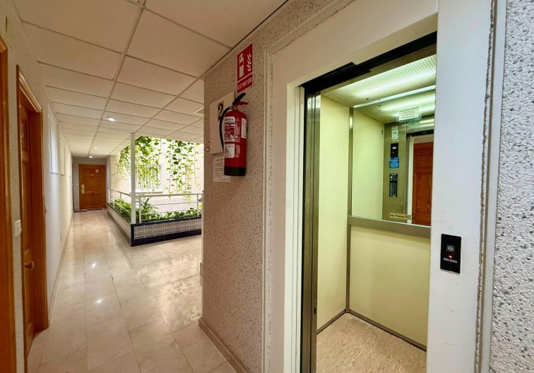 Segunda mano - Apartamento  - Torrevieja - Playa del Cura