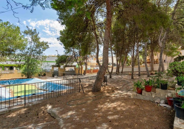 Segunda mano - villa - Torrevieja - Los Balcones 