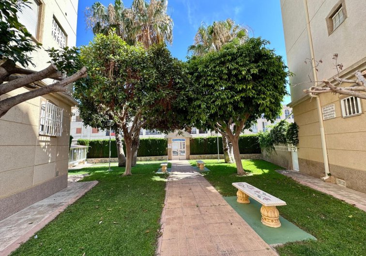 Segunda mano - Apartamento  - Torrevieja - Habaneras