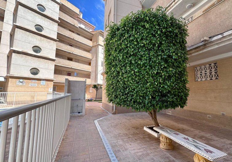 Segunda mano - Apartamento  - Torrevieja - Habaneras