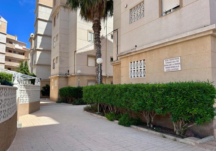 Segunda mano - Apartamento  - Torrevieja - Habaneras