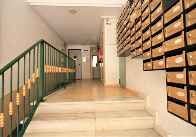 Segunda mano - Apartamento  - Torrevieja - Centro
