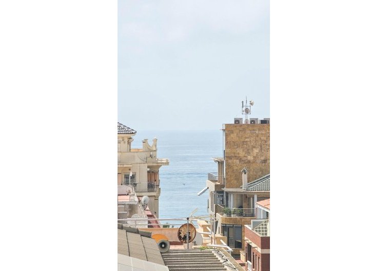 Segunda mano - Atico - Torrevieja - Paseo Maritimo