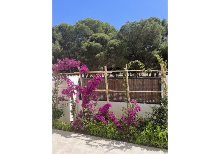 Segunda mano - Apartamento  - Santiago de la Ribera - Costa Calida