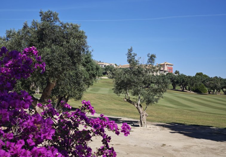 Segunda mano - villa - Algorfa - Inland