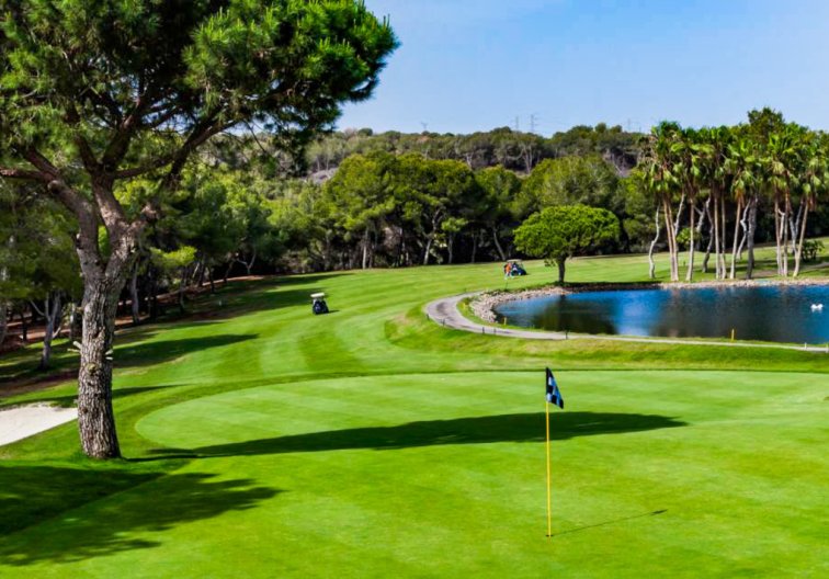 Segunda mano - Apartamento  - Villamartin - Costa Blanca