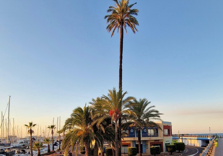 Segunda mano - Apartamento  - Denia - Costa Blanca