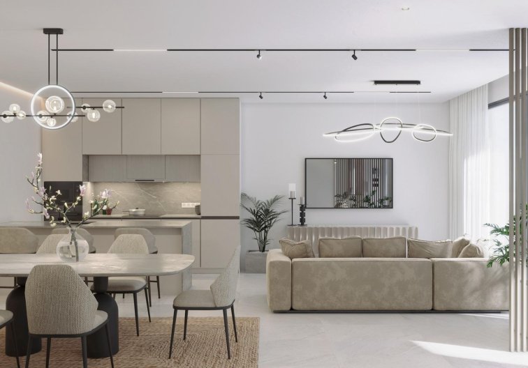 Obra Nueva - town house - Guardamar del Segura - El Raso