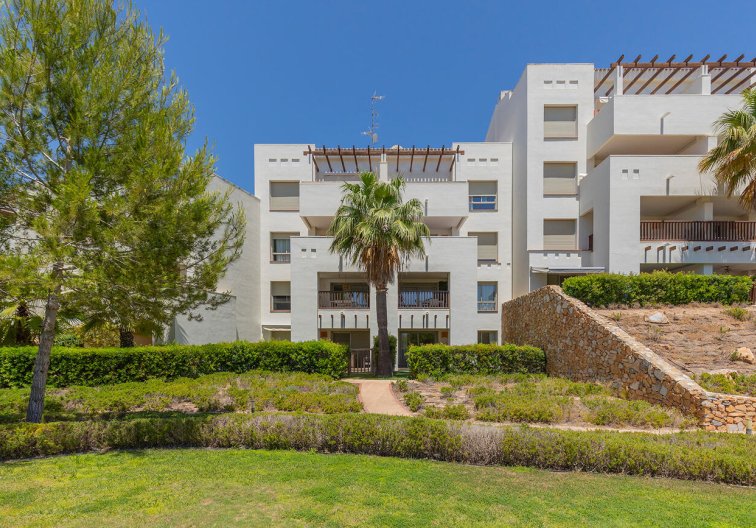 Segunda mano - Apartamento  - Orihuela - Las Colinas