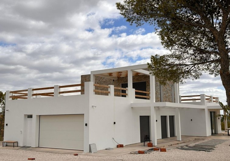 Construction Neuve - villa - Pinoso - Casas Pastor