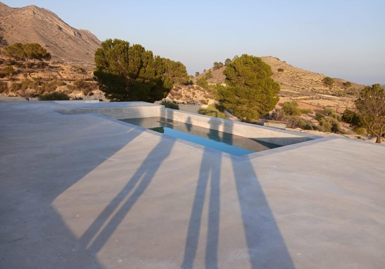 Construction Neuve - villa - Pinoso - Casas Pastor