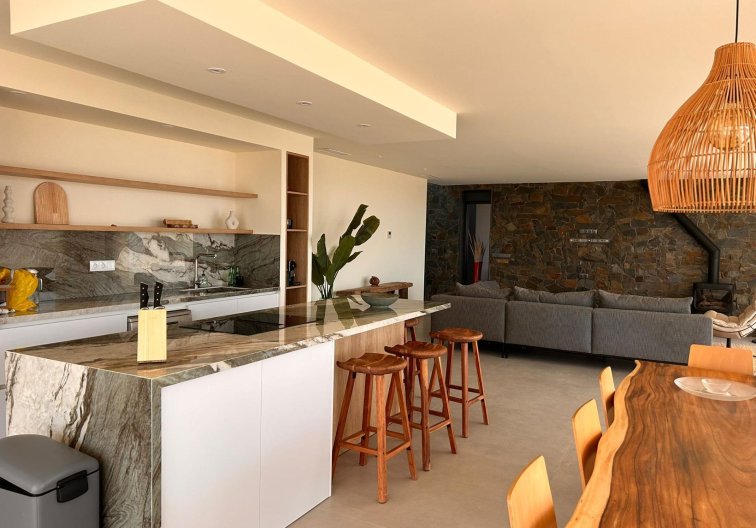 Construction Neuve - villa - Pinoso - Casas Pastor