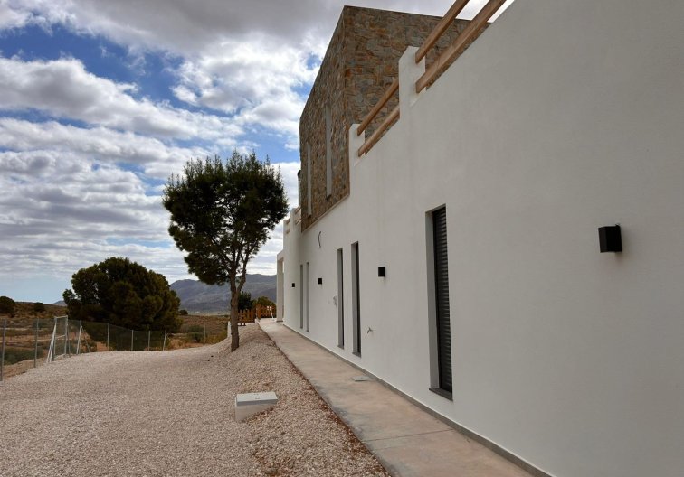 Construction Neuve - villa - Pinoso - Casas Pastor