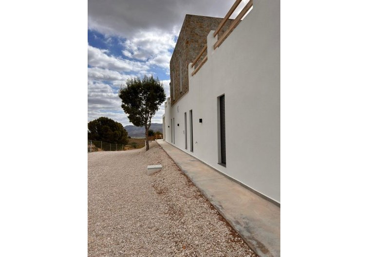 Construction Neuve - villa - Pinoso - Casas Pastor