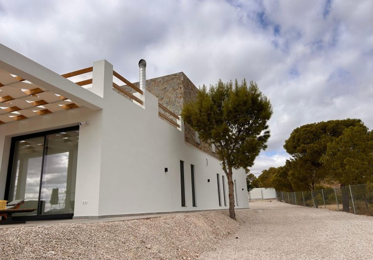 Construction Neuve - villa - Pinoso - Casas Pastor